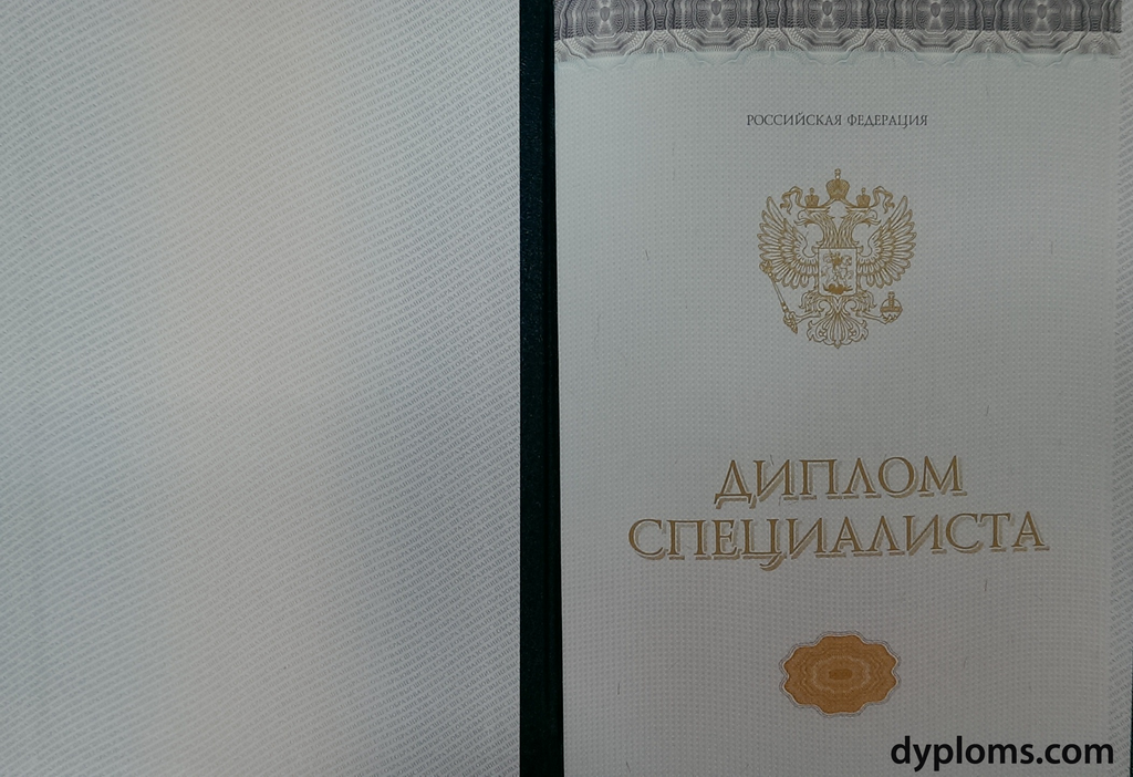 Купить диплом логиста цены, преимущества и риски