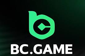 Experience the Thrill of Crypto with BC Game Casino